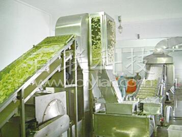 水果干專(zhuān)用帶式干燥機(jī)